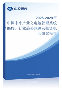 2025-2029Їδa(chn)I(y)֮늳عϵy(tng)BMSИI(y)څA(y)yͶYC(j)(hu)о(bo)